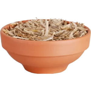Fallen Fruits - Fire Pot