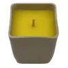Quest Citronella Candle - Cream (Order in multiples of 12)